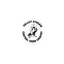 VSC Cross Country Bubble-free stickers