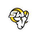 Tucson Bubble-free stickers