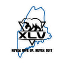 Pegatinas sin burbujas del 45.º aniversario de la MCJA