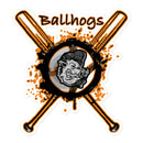 Pegatinas sin burbujas Ballhogs