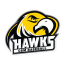 CSM Baseball Bubble-free stickers