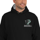 Palmer Baseball Champion Hoodie