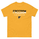 FL v2 Men's classic tee