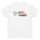 APT Men's classic tee