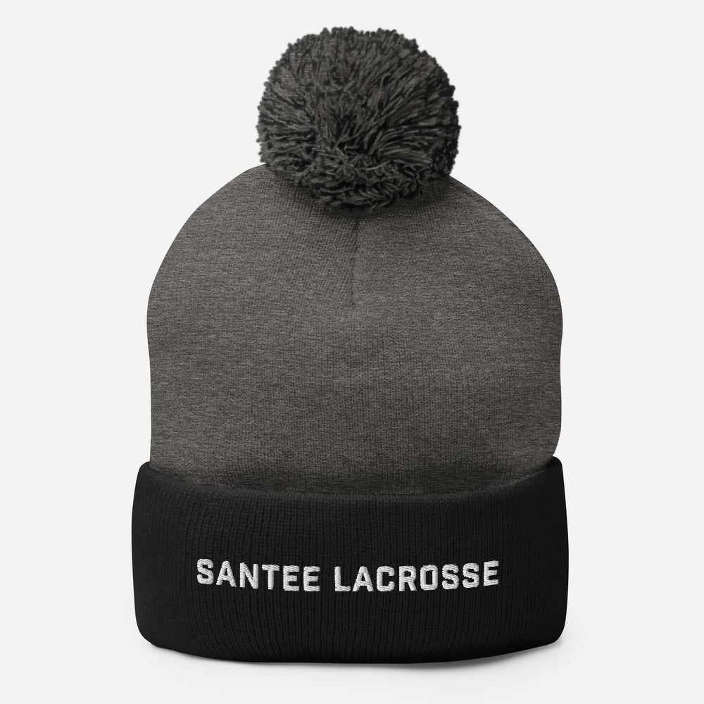 Santee Pom-Pom Beanie