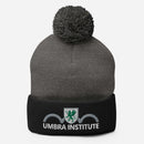 UI Pom-Pom Beanie