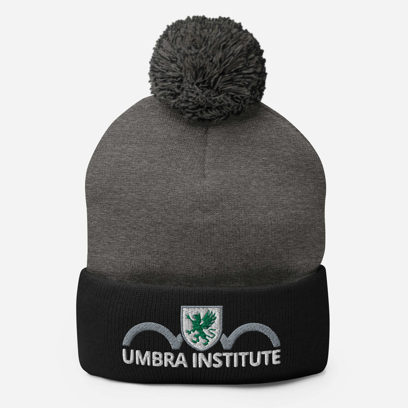 UI Pom-Pom Beanie