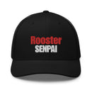 Gorra de camionero RS