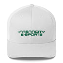 InTennCity Trucker Cap