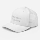 AO Trucker Cap