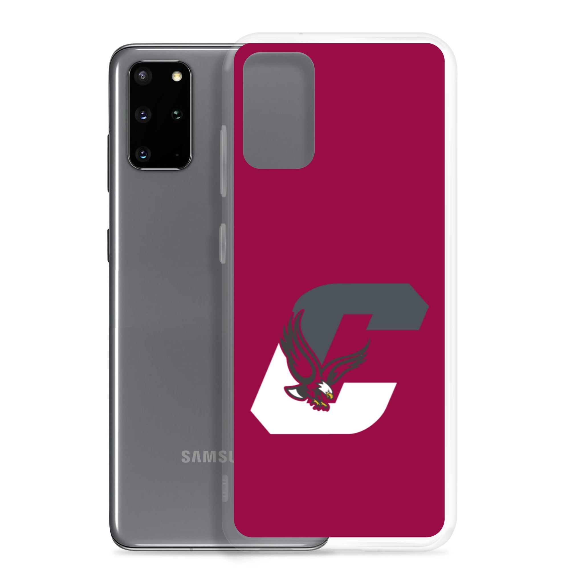 Boothwyn Elementary Samsung Case