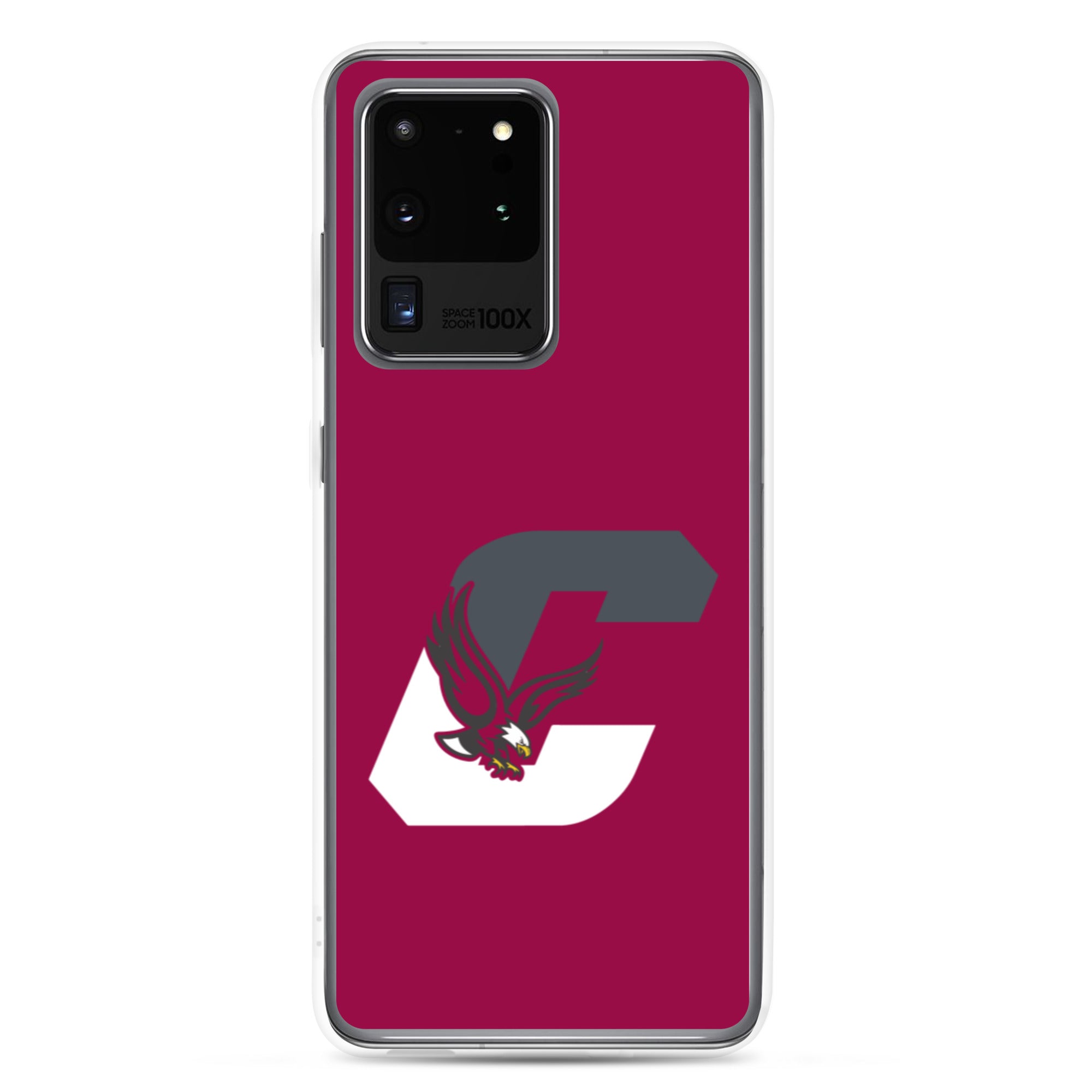 Boothwyn Elementary Samsung Case
