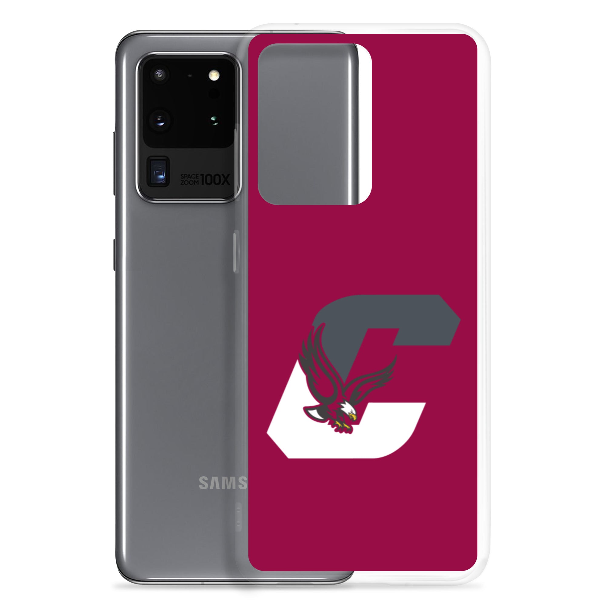 Boothwyn Elementary Samsung Case