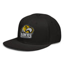 Gorra de béisbol con cierre trasero tipo snapback CSM