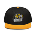 Gorra de béisbol con cierre trasero tipo snapback CSM