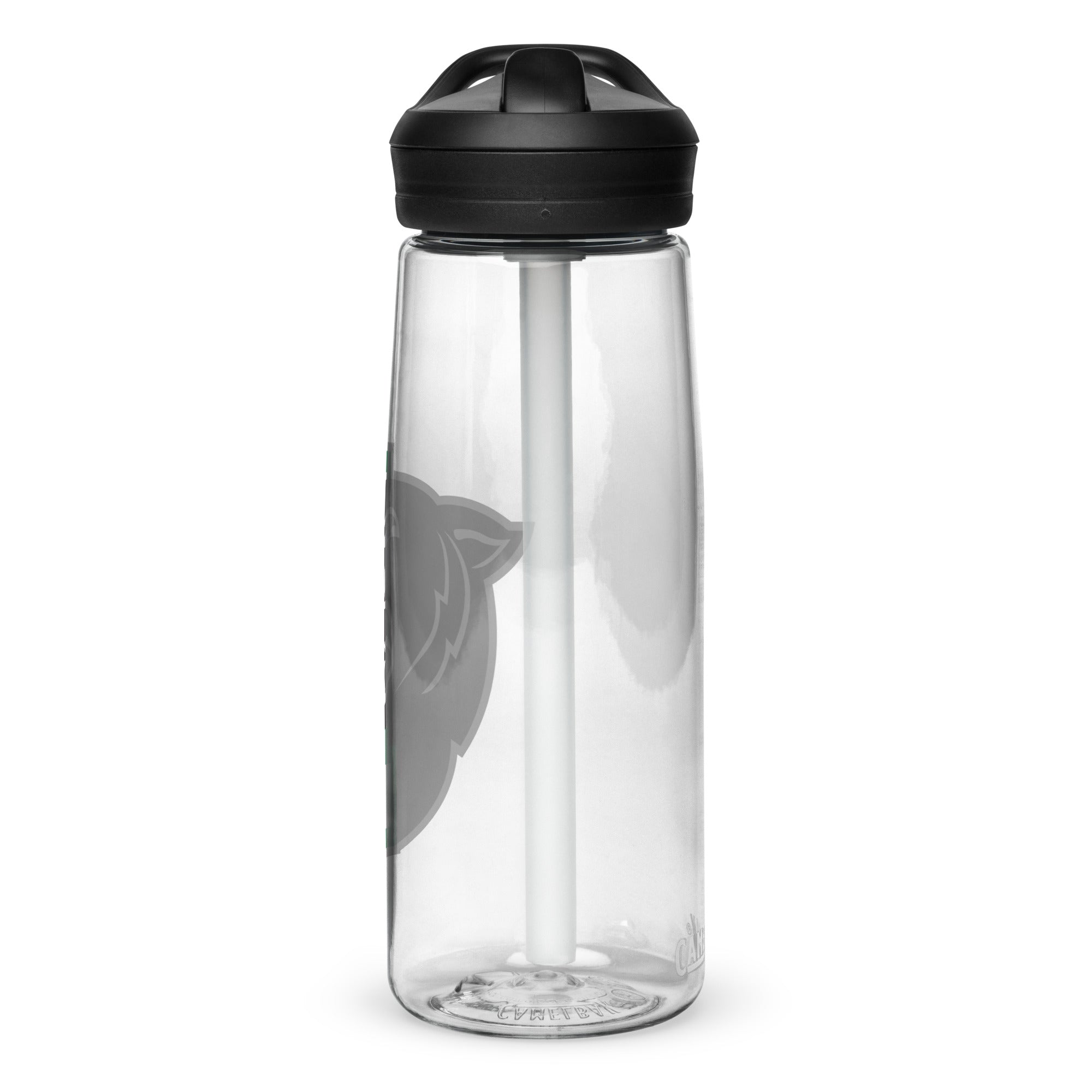 Palmer Football Sports water bottle