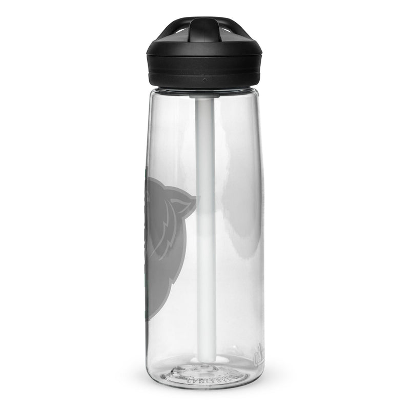 Palmer Football Sports water bottle