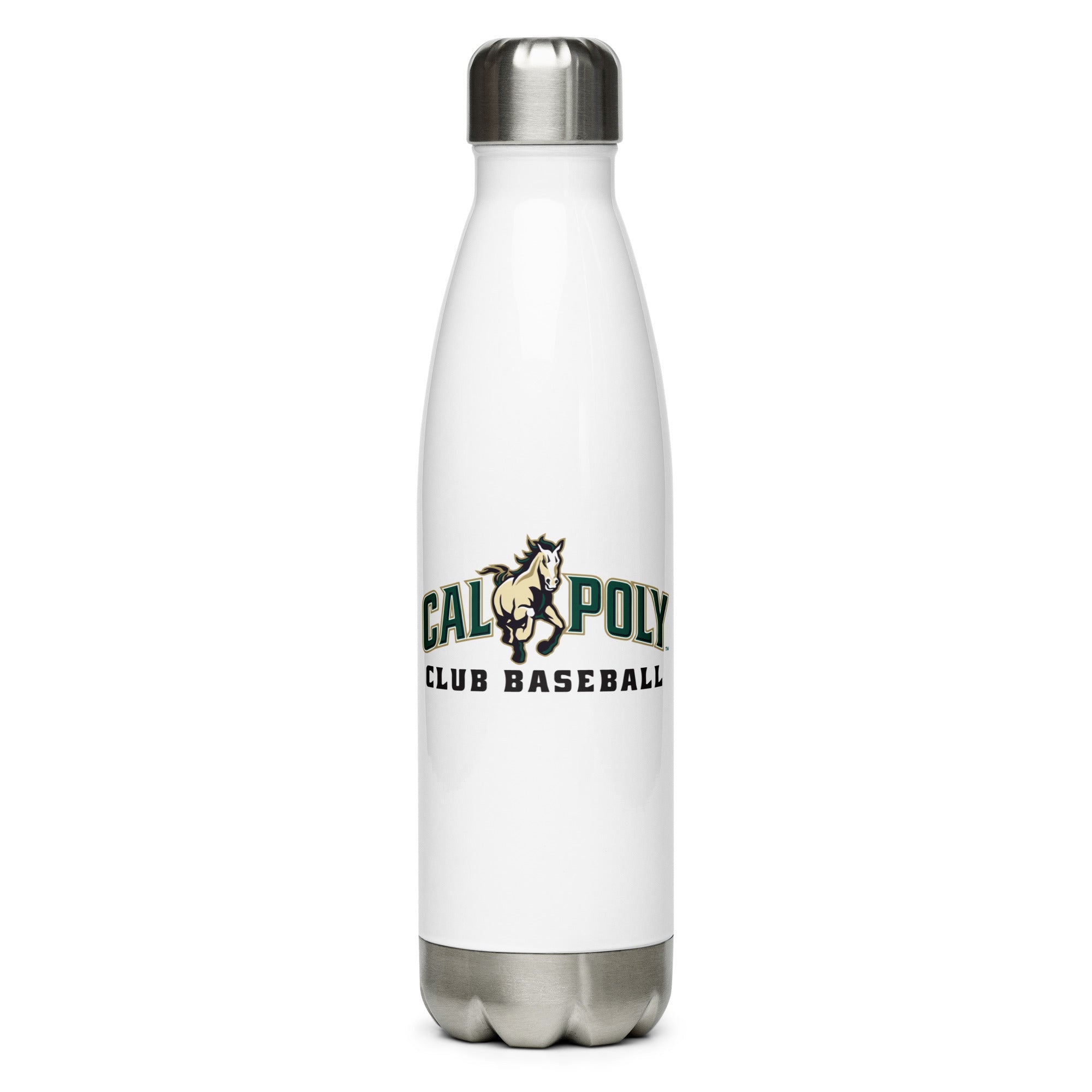 CPCB Stainless Steel Water Bottle