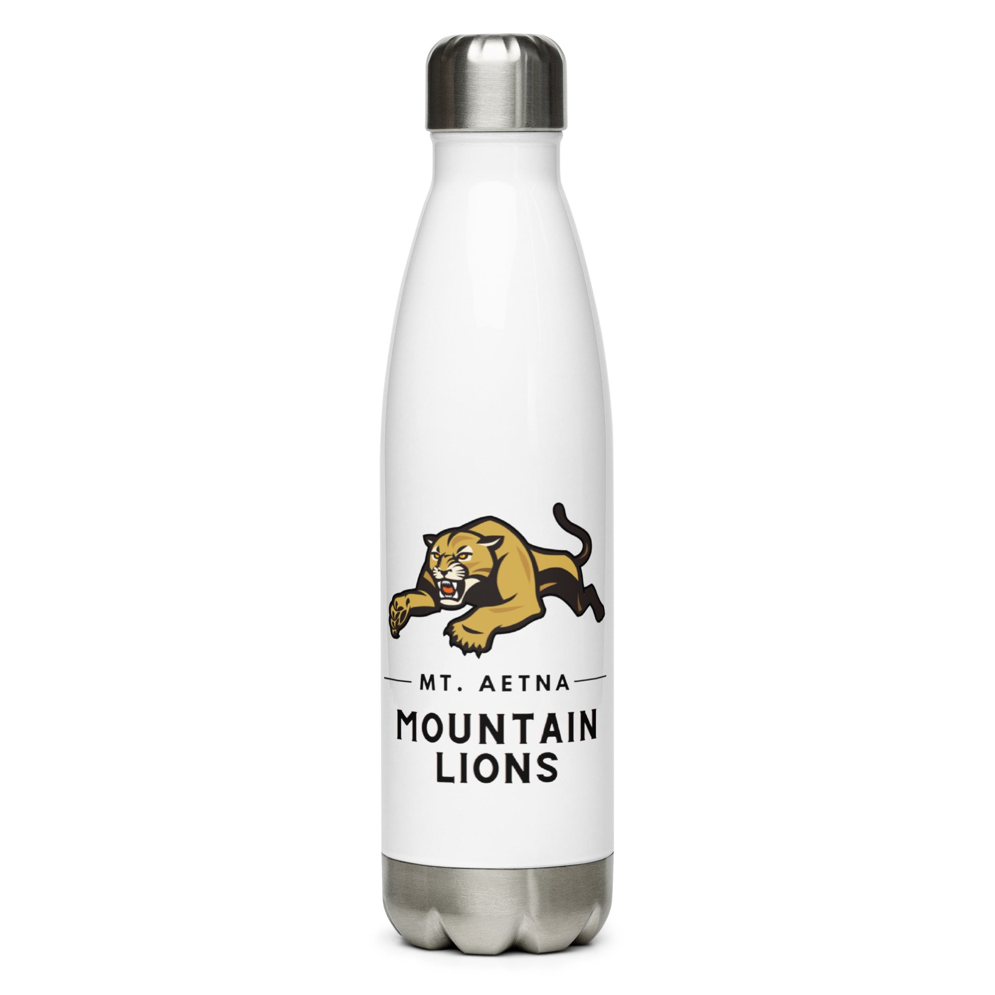 Mt. Aetna Stainless Steel Water Bottle