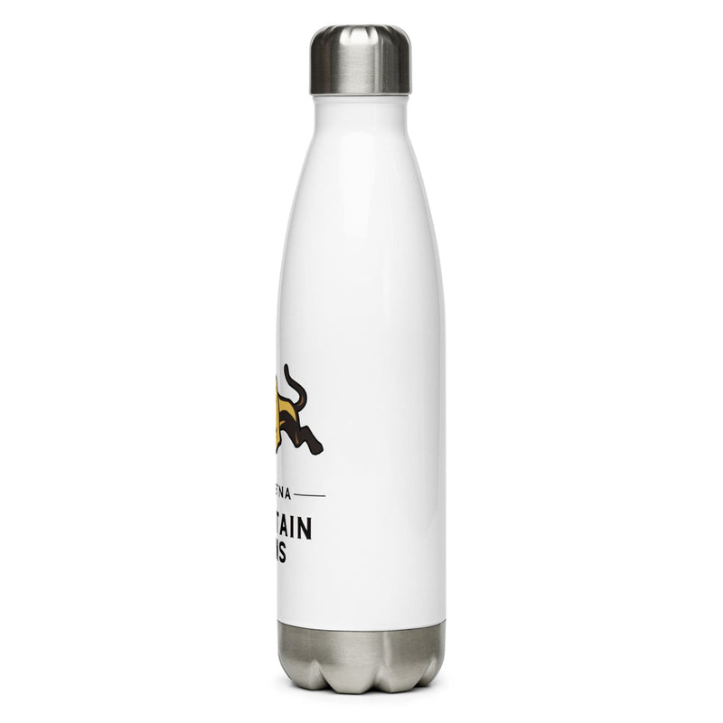 Mt. Aetna Stainless Steel Water Bottle