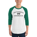St Patricks Day Shenanignas 3/4 sleeve raglan shirt