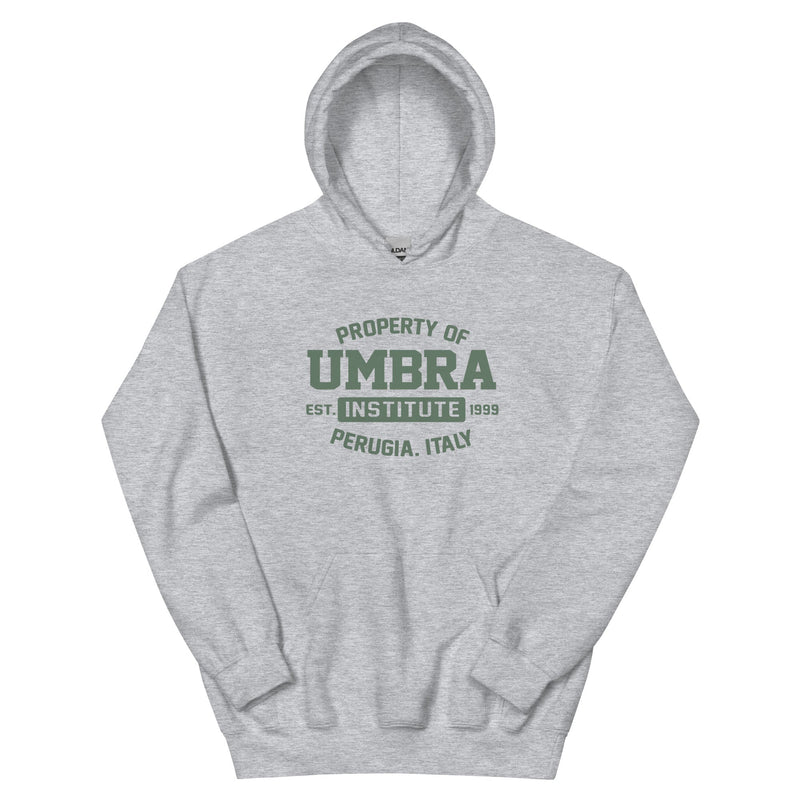 UI Unisex Hoodie