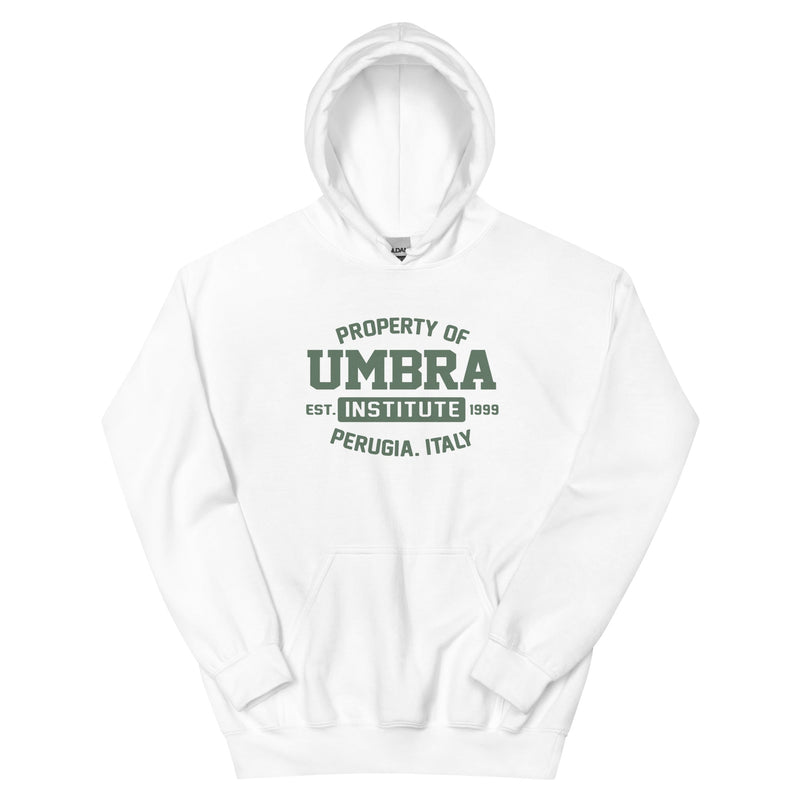 UI Unisex Hoodie