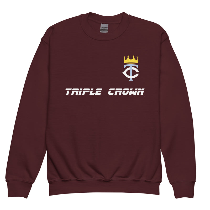 TCT Youth crewneck sweatshirt v2