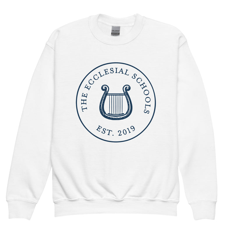 Sudadera de cuello redondo juvenil TES