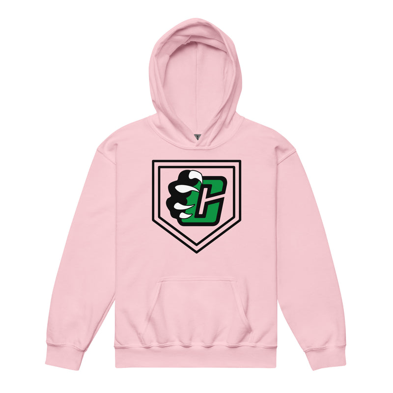 CDC Youth heavy blend hoodie (Breast Cancer Awareness)