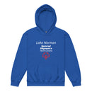 LNSO Youth heavy blend hoodie