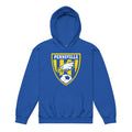 Pennsville Soccer Youth heavy blend hoodie