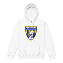Pennsville Soccer Youth heavy blend hoodie v2
