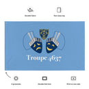 Bandera de la tropa 4637
