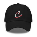 CV Dad hat