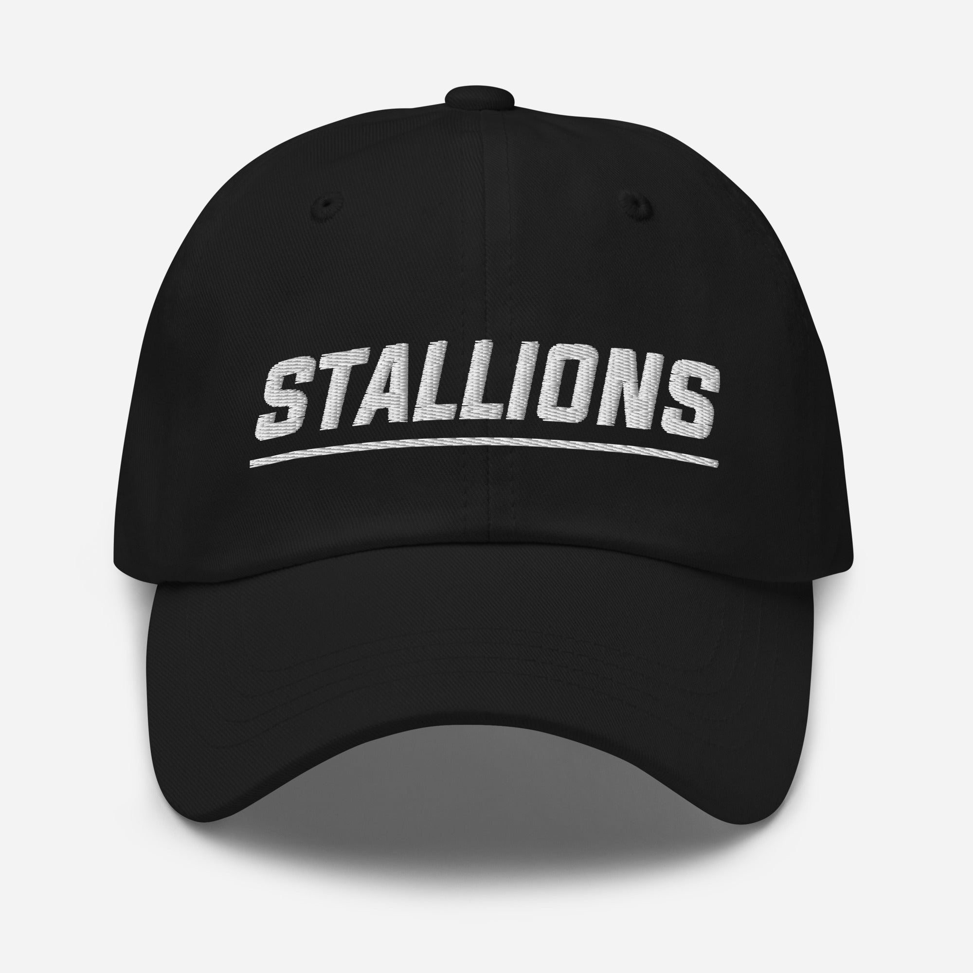 CS Dad hat