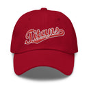 Titans Fastpitch Dad hat