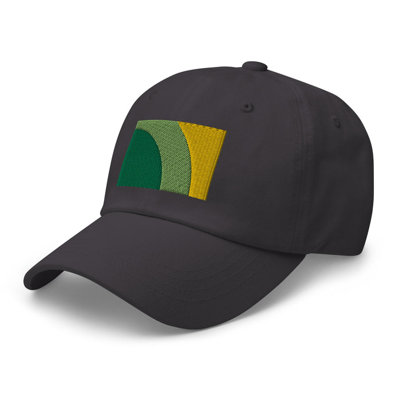 LVMHAW Dad hat (MH Awareness Flag)