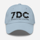 SDC Dad hat