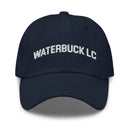WB-LC Dad hat