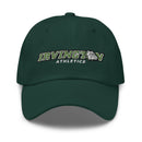 Gorra de papá de IL