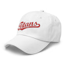 Titans Fastpitch Dad hat