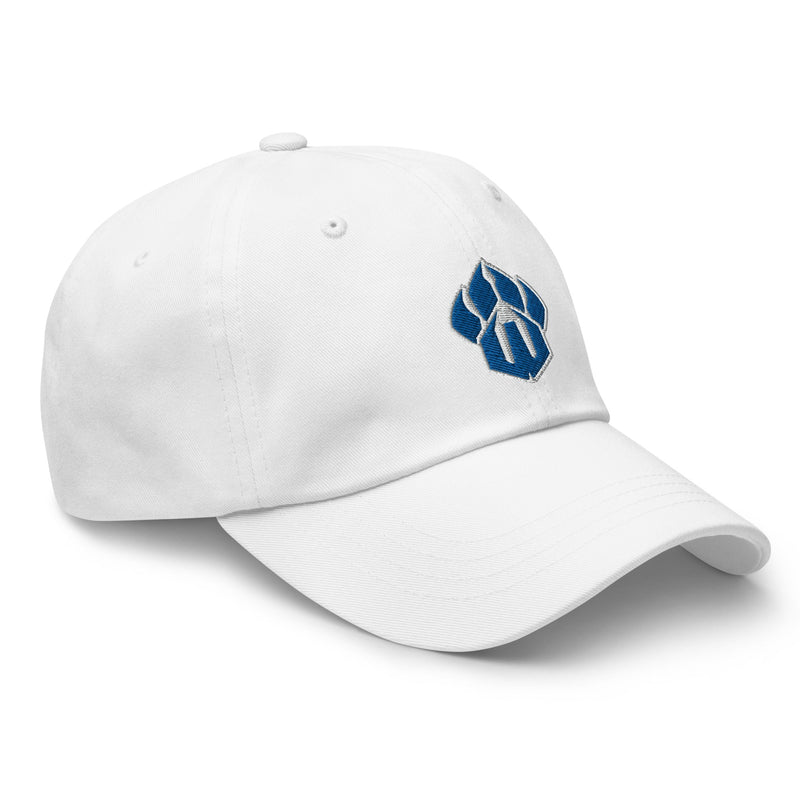 Wallkill Panthers Dad hat