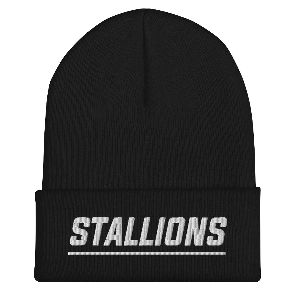 CS Cuffed Beanie