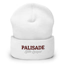 PALL Cuffed Beanie