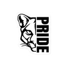 CS Bubble-free stickers