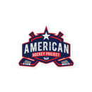 American Hockey Project Bubble-free stickers