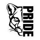 CS Bubble-free stickers