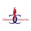 CC Bubble-free stickers