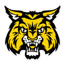 FA Bubble-free stickers